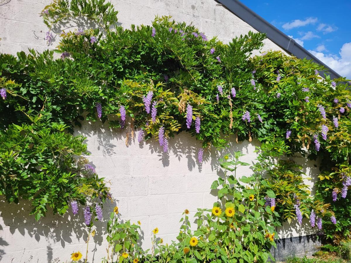 Heerlijk Appartement 'La Bienvenue' In Venlo, Limburg Exterior foto